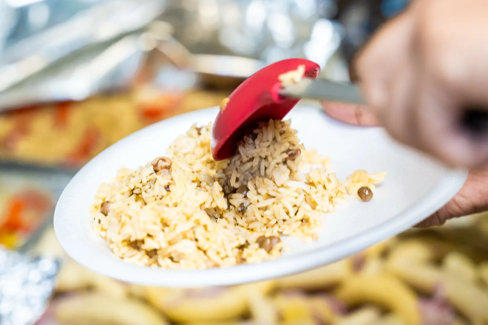 POLLO AL CARBÓN EL BUEN SAZÓN foto 3