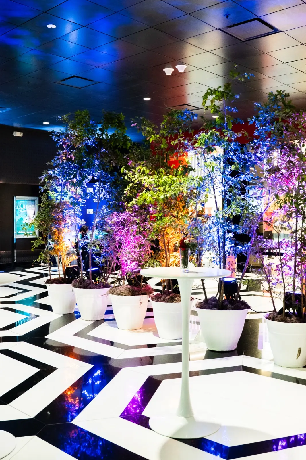 ALQUILERES Y VIVEROS HUMBERTO foto 1