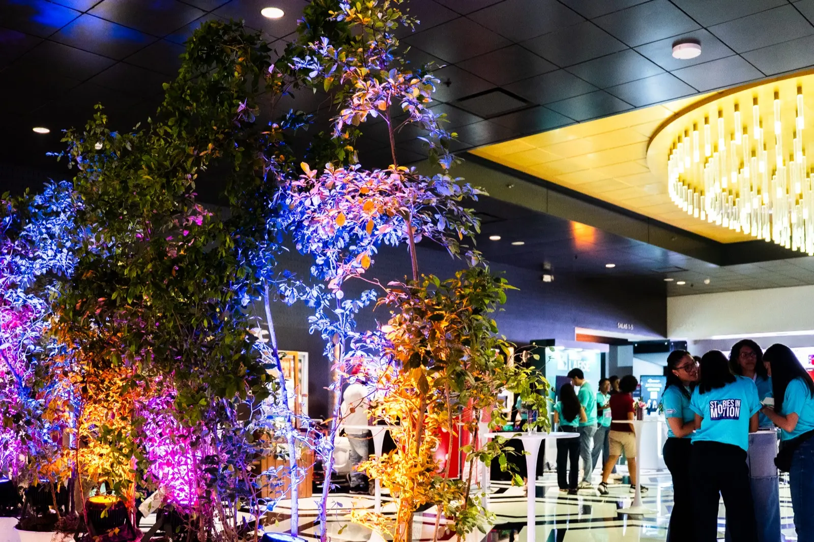 ALQUILERES Y VIVEROS HUMBERTO foto 4