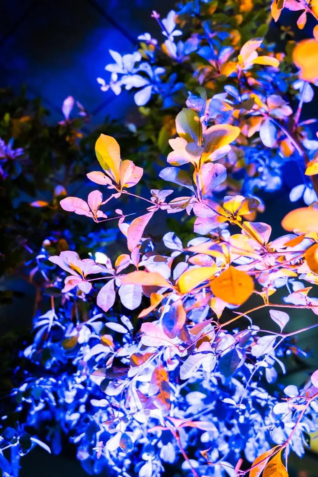 ALQUILERES Y VIVEROS HUMBERTO foto 1