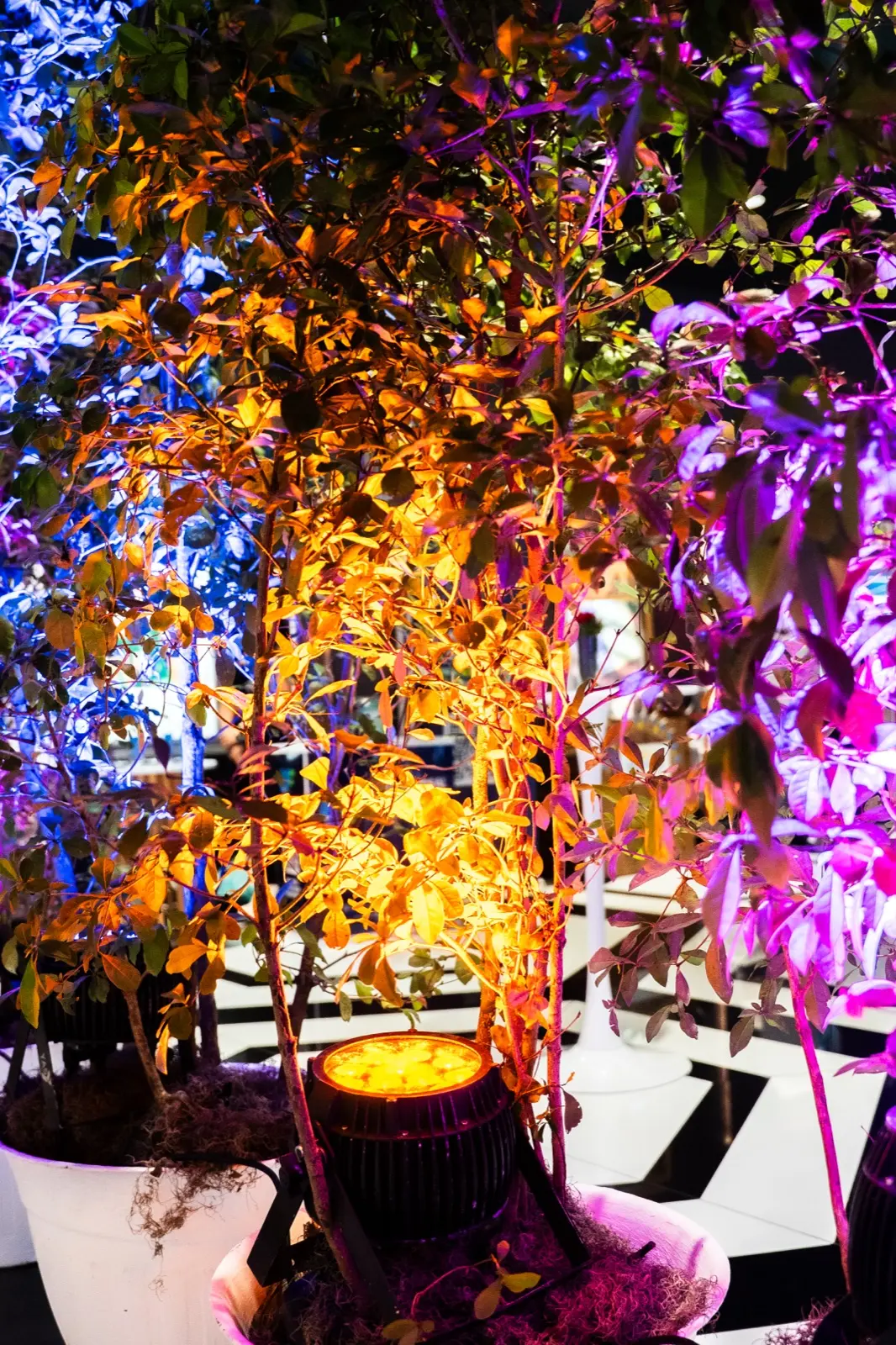 ALQUILERES Y VIVEROS HUMBERTO foto 2